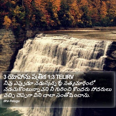 3 యోహాను పత్రిక 1:3 TELIRV Bible Verse Image