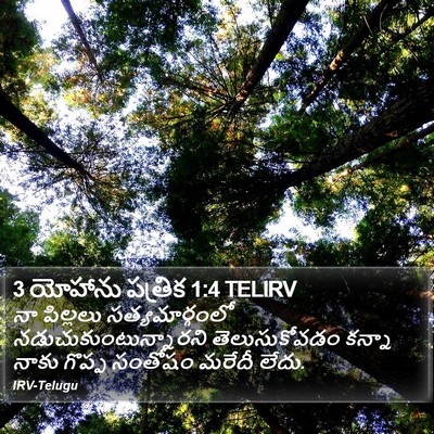 3 యోహాను పత్రిక 1:4 TELIRV Bible Verse Image