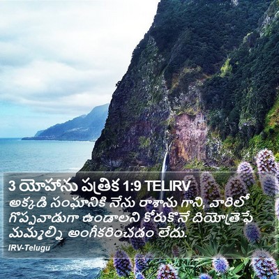 3 యోహాను పత్రిక 1:9 TELIRV Bible Verse Image