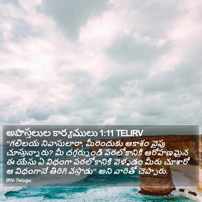 అపొస్తలుల కార్యములు 1:11 TELIRV Bible Verse Image