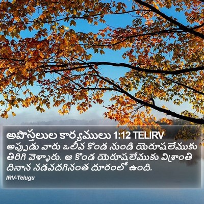 అపొస్తలుల కార్యములు 1:12 TELIRV Bible Verse Image