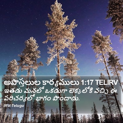 అపొస్తలుల కార్యములు 1:17 TELIRV Bible Verse Image