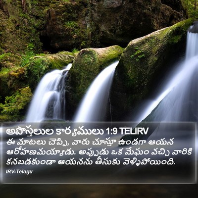 అపొస్తలుల కార్యములు 1:9 TELIRV Bible Verse Image