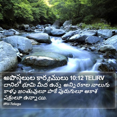 అపొస్తలుల కార్యములు 10:12 TELIRV Bible Verse Image