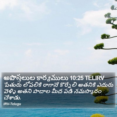 అపొస్తలుల కార్యములు 10:25 TELIRV Bible Verse Image