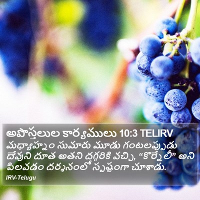 అపొస్తలుల కార్యములు 10:3 TELIRV Bible Verse Image