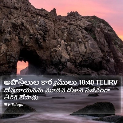 అపొస్తలుల కార్యములు 10:40 TELIRV Bible Verse Image