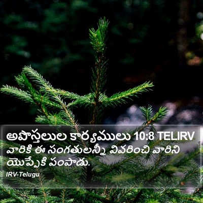అపొస్తలుల కార్యములు 10:8 TELIRV Bible Verse Image