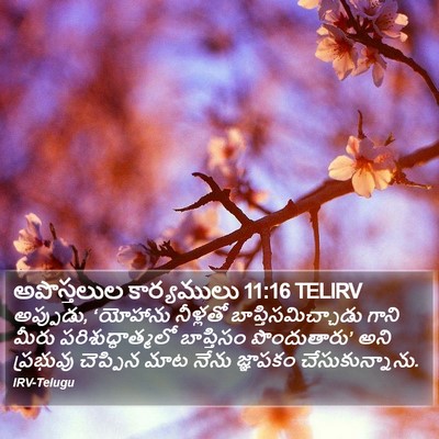 అపొస్తలుల కార్యములు 11:16 TELIRV Bible Verse Image