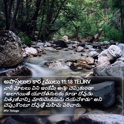 అపొస్తలుల కార్యములు 11:18 TELIRV Bible Verse Image