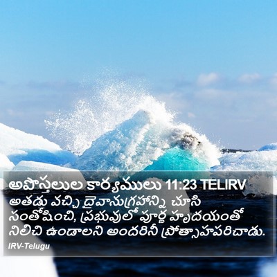 అపొస్తలుల కార్యములు 11:23 TELIRV Bible Verse Image