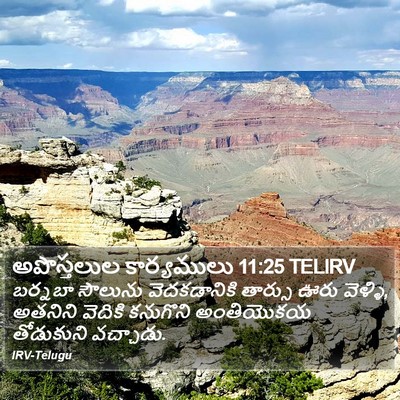 అపొస్తలుల కార్యములు 11:25 TELIRV Bible Verse Image