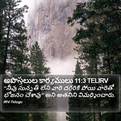 అపొస్తలుల కార్యములు 11:3 TELIRV Bible Verse Image