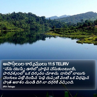 అపొస్తలుల కార్యములు 11:5 TELIRV Bible Verse Image