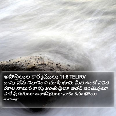 అపొస్తలుల కార్యములు 11:6 TELIRV Bible Verse Image