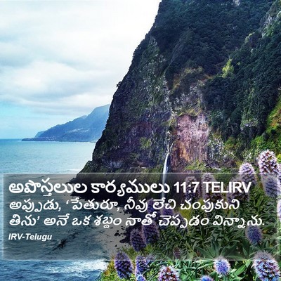 అపొస్తలుల కార్యములు 11:7 TELIRV Bible Verse Image