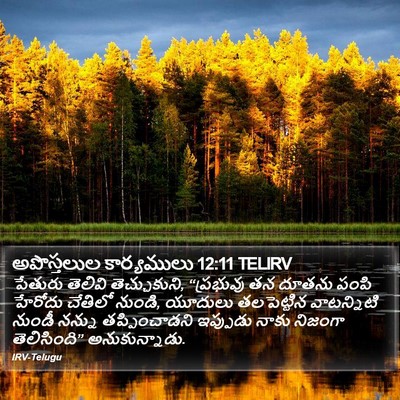 అపొస్తలుల కార్యములు 12:11 TELIRV Bible Verse Image