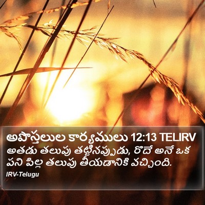 అపొస్తలుల కార్యములు 12:13 TELIRV Bible Verse Image