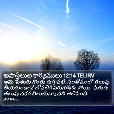 అపొస్తలుల కార్యములు 12:14 TELIRV Bible Verse Image