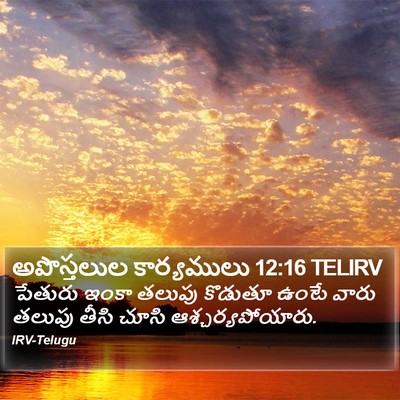 అపొస్తలుల కార్యములు 12:16 TELIRV Bible Verse Image