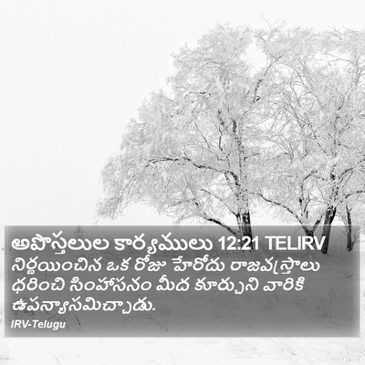 అపొస్తలుల కార్యములు 12:21 TELIRV Bible Verse Image
