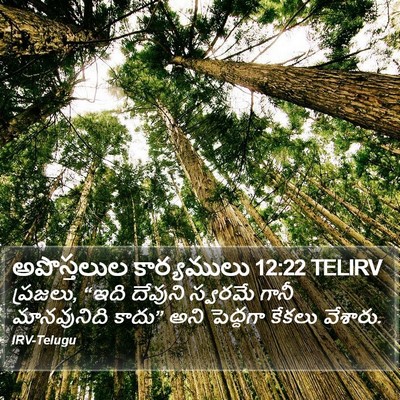 అపొస్తలుల కార్యములు 12:22 TELIRV Bible Verse Image