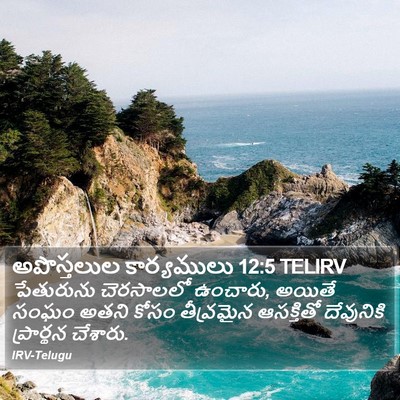 అపొస్తలుల కార్యములు 12:5 TELIRV Bible Verse Image