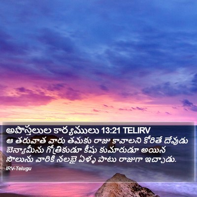 అపొస్తలుల కార్యములు 13:21 TELIRV Bible Verse Image