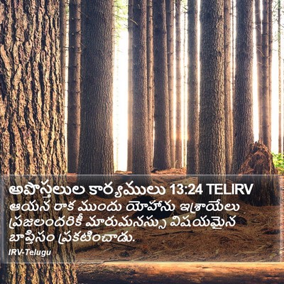 అపొస్తలుల కార్యములు 13:24 TELIRV Bible Verse Image