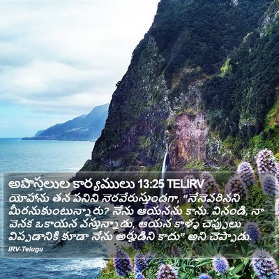 అపొస్తలుల కార్యములు 13:25 TELIRV Bible Verse Image