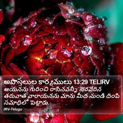 అపొస్తలుల కార్యములు 13:29 TELIRV Bible Verse Image