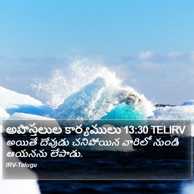 అపొస్తలుల కార్యములు 13:30 TELIRV Bible Verse Image