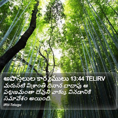 అపొస్తలుల కార్యములు 13:44 TELIRV Bible Verse Image