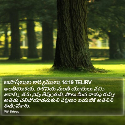 అపొస్తలుల కార్యములు 14:19 TELIRV Bible Verse Image