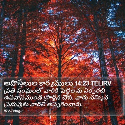 అపొస్తలుల కార్యములు 14:23 TELIRV Bible Verse Image