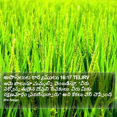 అపొస్తలుల కార్యములు 16:17 TELIRV Bible Verse Image
