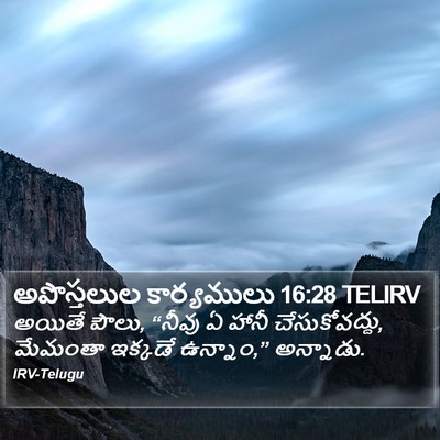 అపొస్తలుల కార్యములు 16:28 TELIRV Bible Verse Image