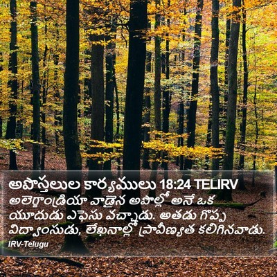అపొస్తలుల కార్యములు 18:24 TELIRV Bible Verse Image