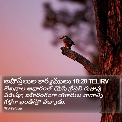 అపొస్తలుల కార్యములు 18:28 TELIRV Bible Verse Image