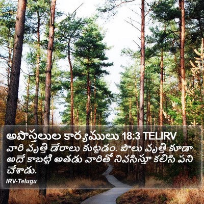 అపొస్తలుల కార్యములు 18:3 TELIRV Bible Verse Image