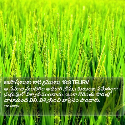 అపొస్తలుల కార్యములు 18:8 TELIRV Bible Verse Image