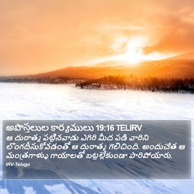 అపొస్తలుల కార్యములు 19:16 TELIRV Bible Verse Image
