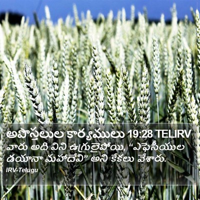 అపొస్తలుల కార్యములు 19:28 TELIRV Bible Verse Image