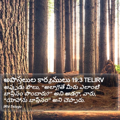 అపొస్తలుల కార్యములు 19:3 TELIRV Bible Verse Image