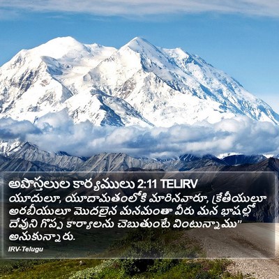 అపొస్తలుల కార్యములు 2:11 TELIRV Bible Verse Image