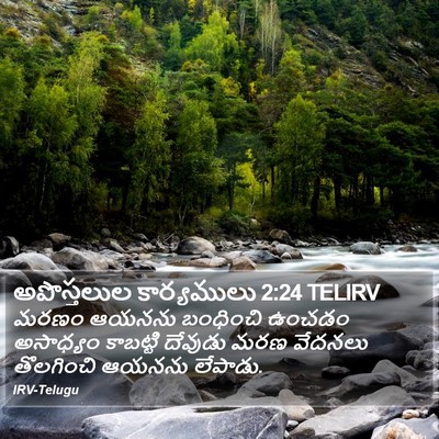 అపొస్తలుల కార్యములు 2:24 TELIRV Bible Verse Image