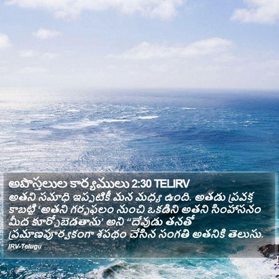 అపొస్తలుల కార్యములు 2:30 TELIRV Bible Verse Image