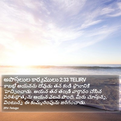 అపొస్తలుల కార్యములు 2:33 TELIRV Bible Verse Image