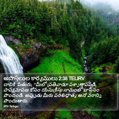 అపొస్తలుల కార్యములు 2:38 TELIRV Bible Verse Image