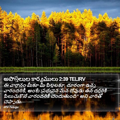 అపొస్తలుల కార్యములు 2:39 TELIRV Bible Verse Image